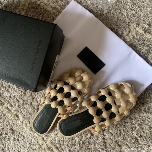 Alexander Wang Shoes - Alexander Wang Cashmere Beige Amelia Suede Flats
